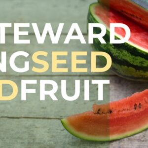 Stewarding Seeded Fruit Genesis 1:28-29