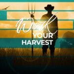Work Your Harvest Isaiah 28:23-29
